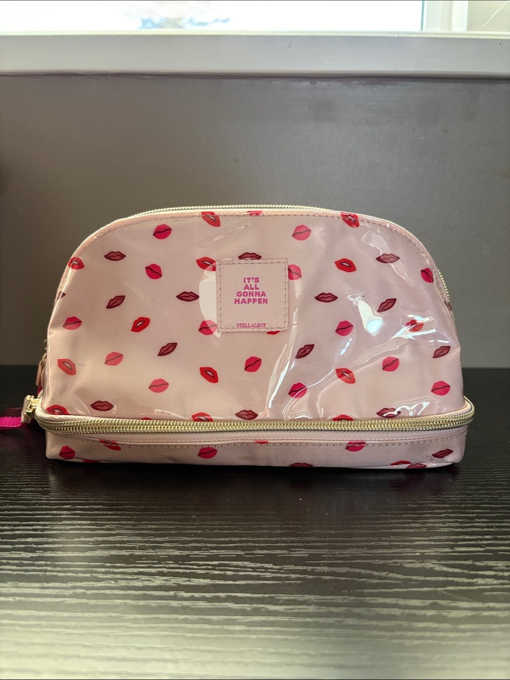 Stella and dot lips makeup case bag